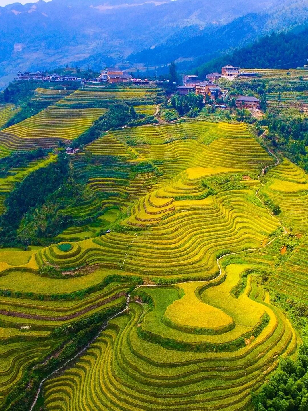 Day 3 | Longji: The Dragon’s Backbone and Tribal Traditions