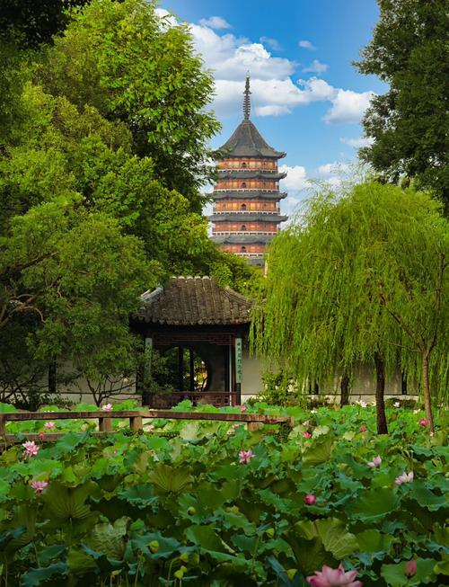 Day 4 | Suzhou: Scholar-Gardens and Twilight Alleys