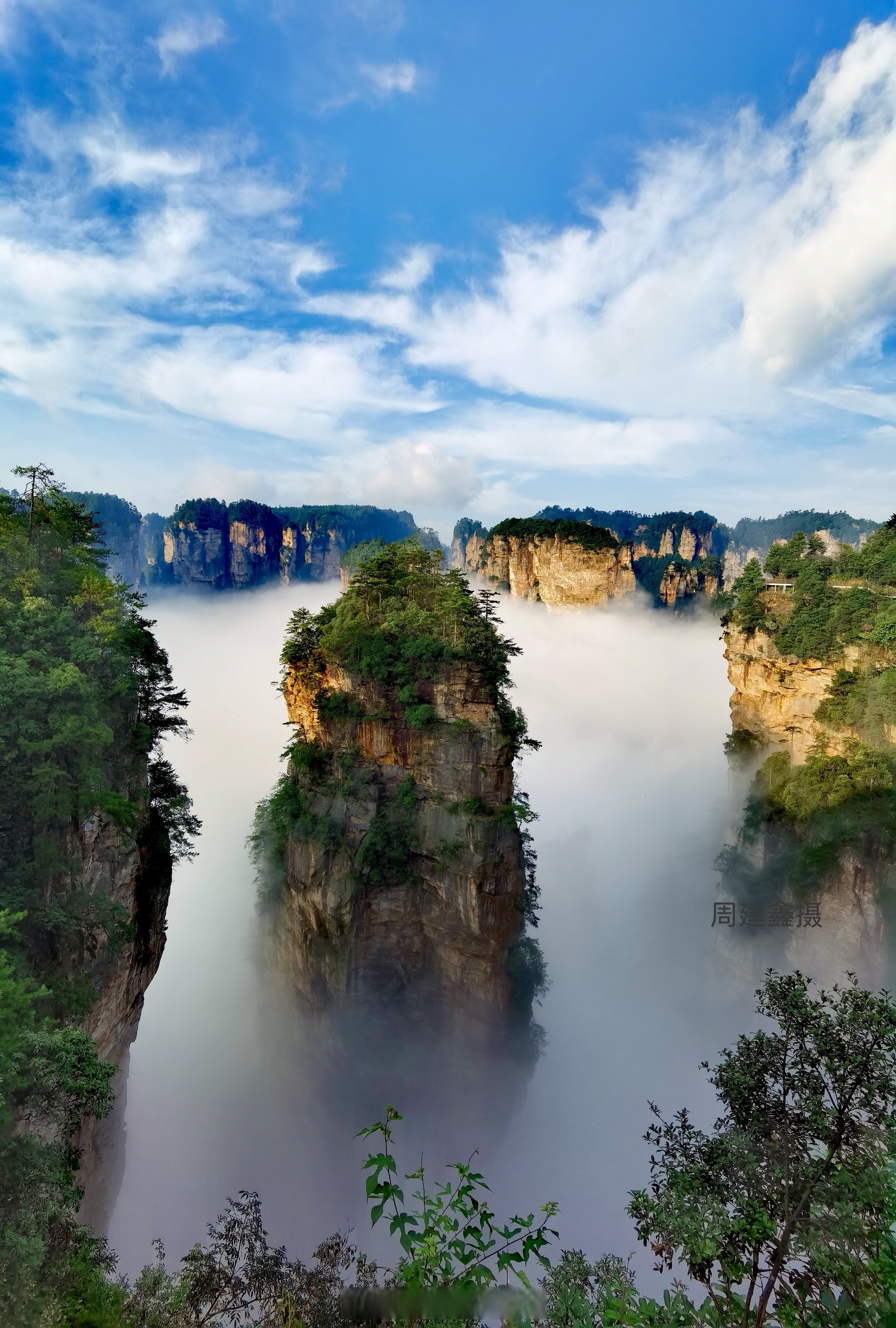 Day 3 | Wulingyuan: Emerald Valleys and Stone Forests