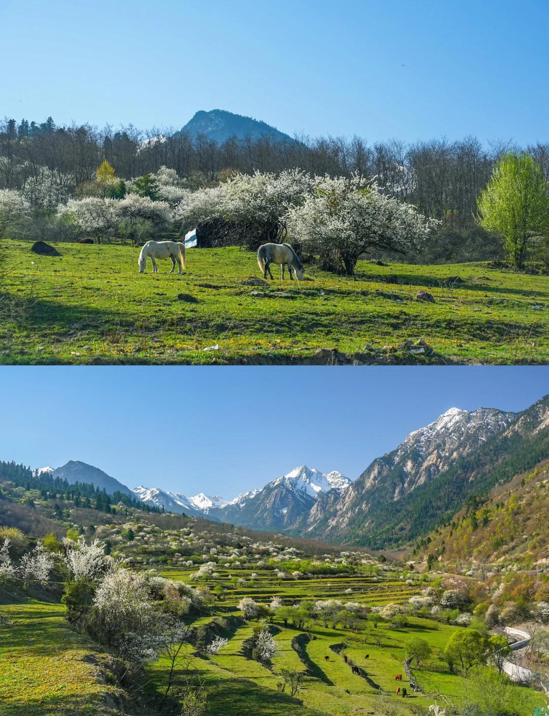 Day 4 | Zhongcha Valley: Wilderness Adventure and Artisanal Soul