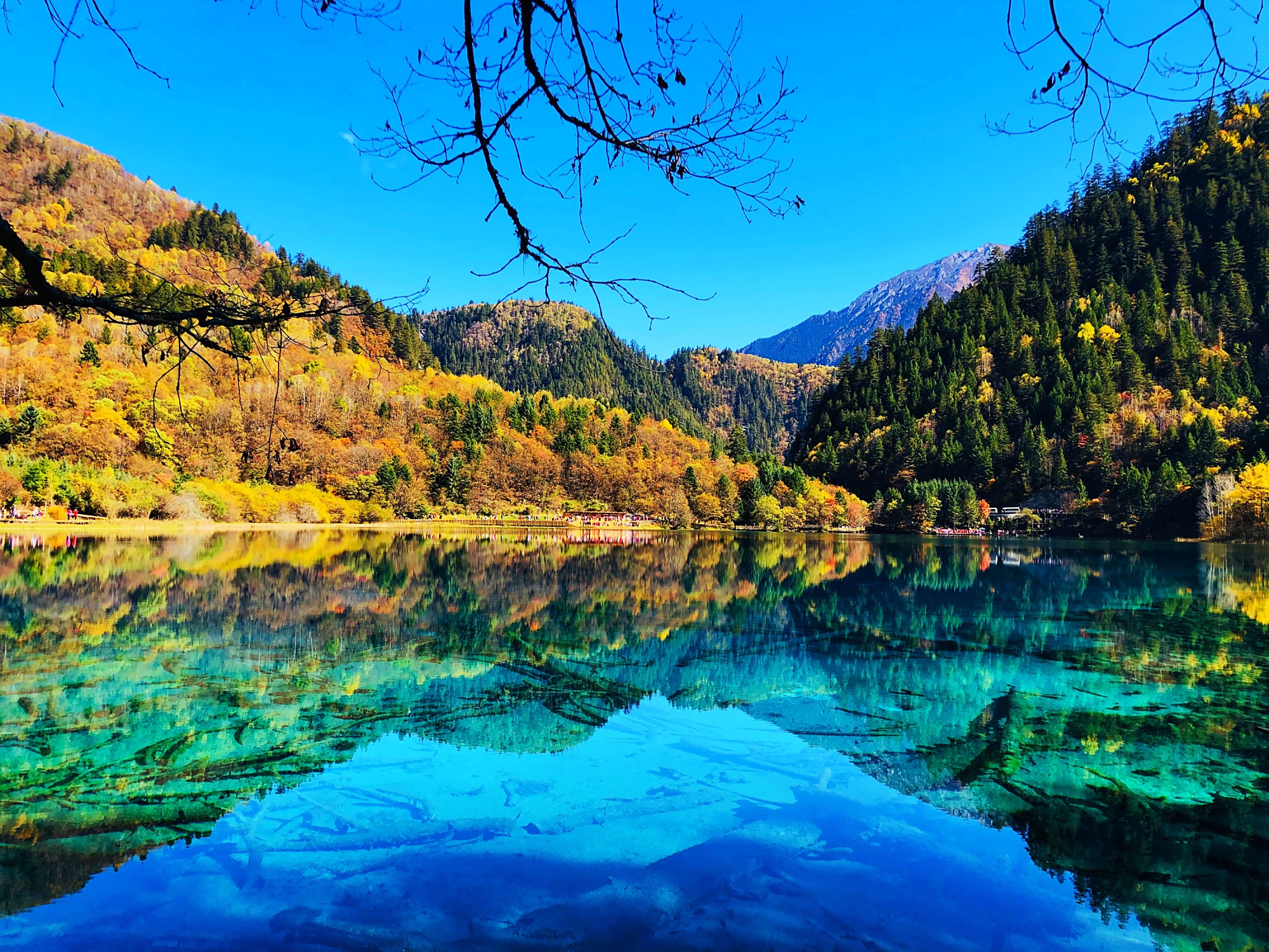 Chengdu to Jiuzhaigou & Huanglong 6-Day Nature & Culture Tour