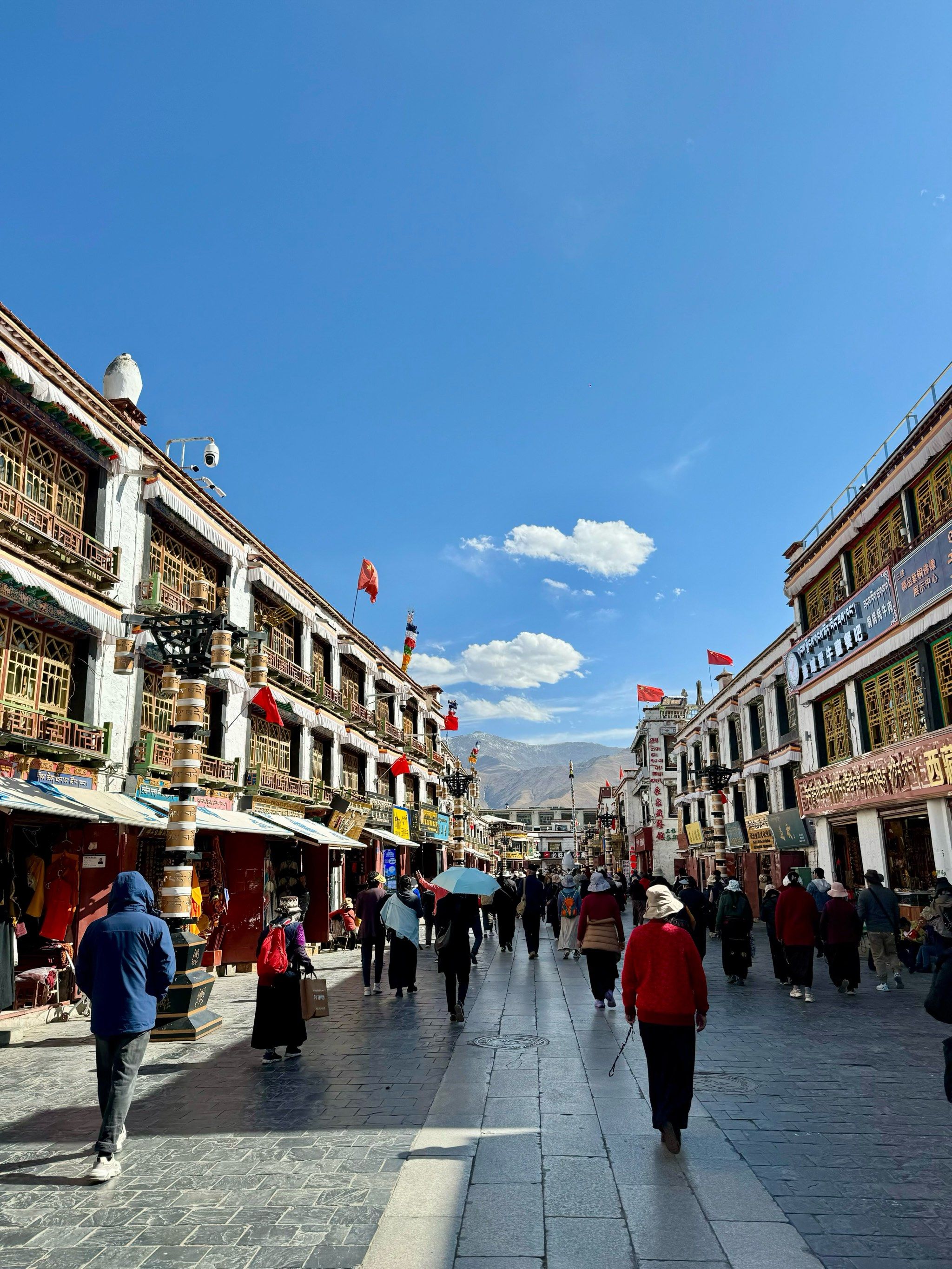 Day 3 | Lhasa: Spiritual Heart and Ancient Echoes
