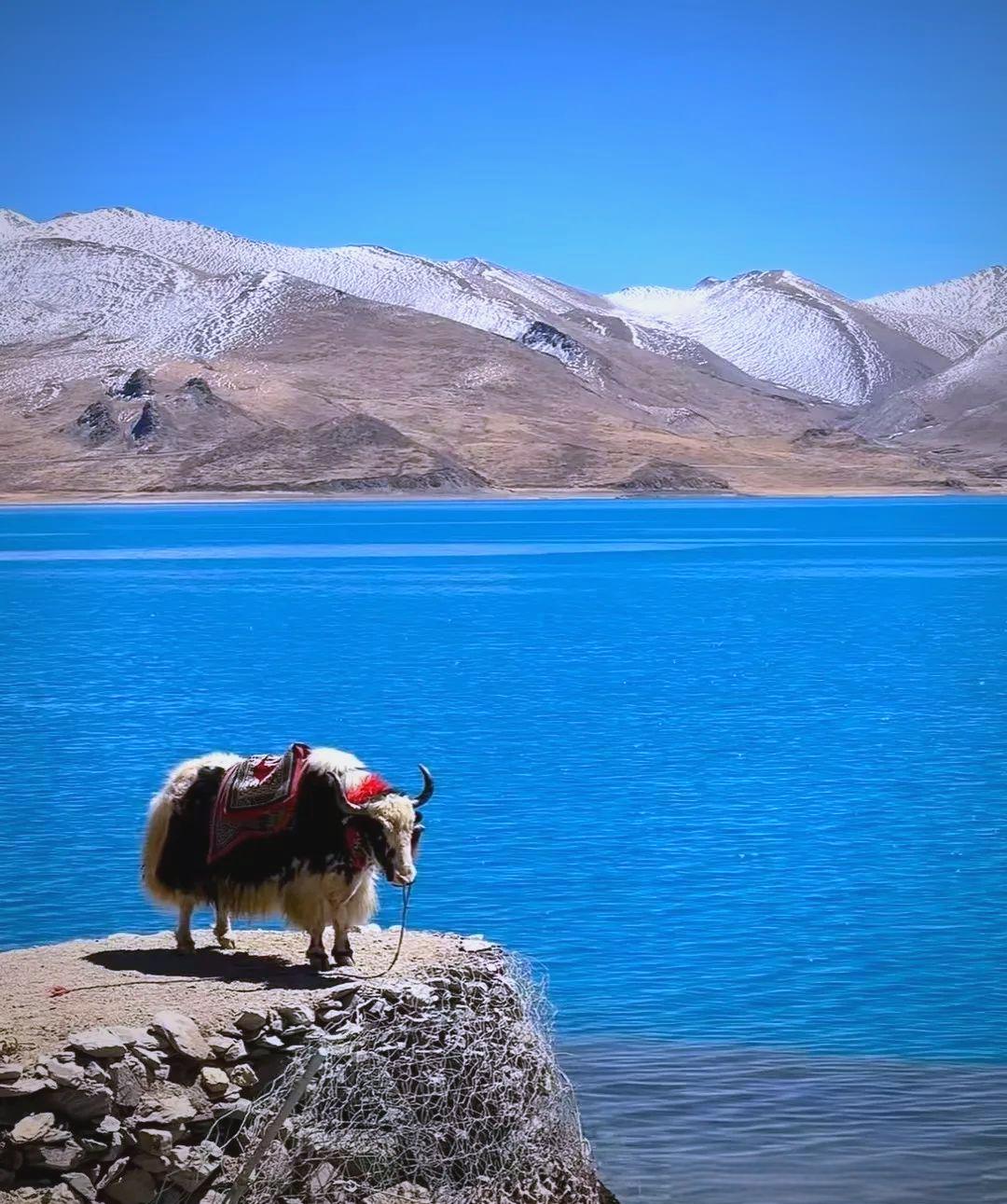Day 4 | Yamdrok Cho: Turquoise Waters and Heroic Ruins