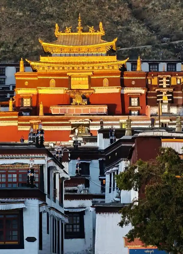 Day 8 | Tashilhunpo: Golden Roofs and Grassland Vistas