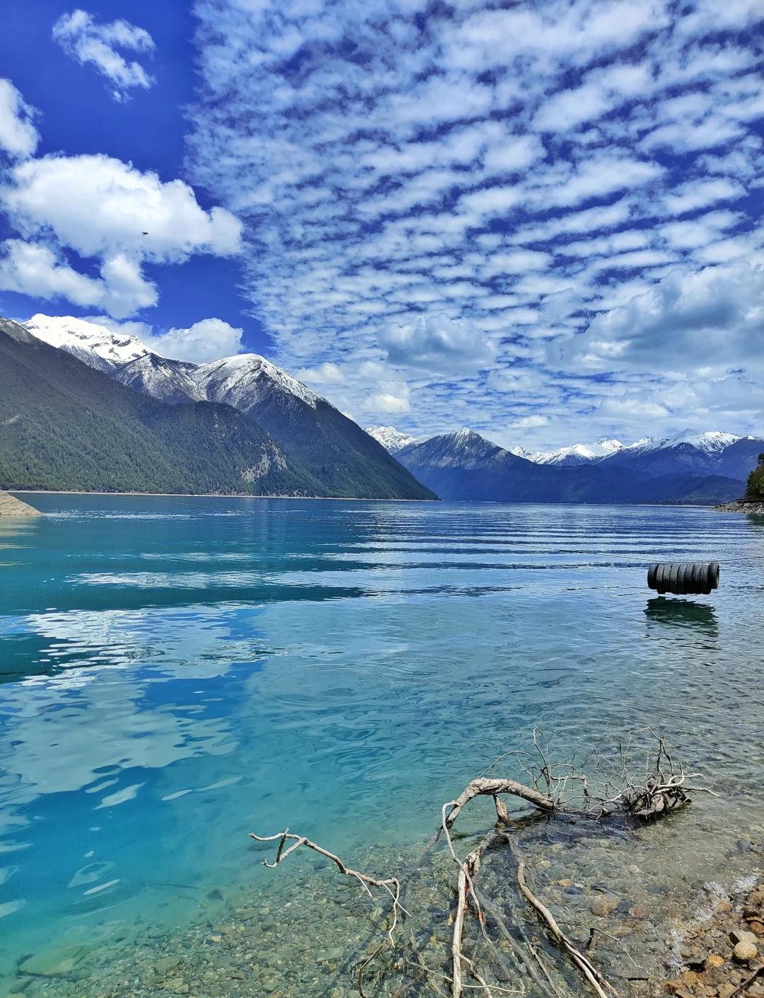 Day 7 | Basum Tso to Nyingchi: Forested Serenity
