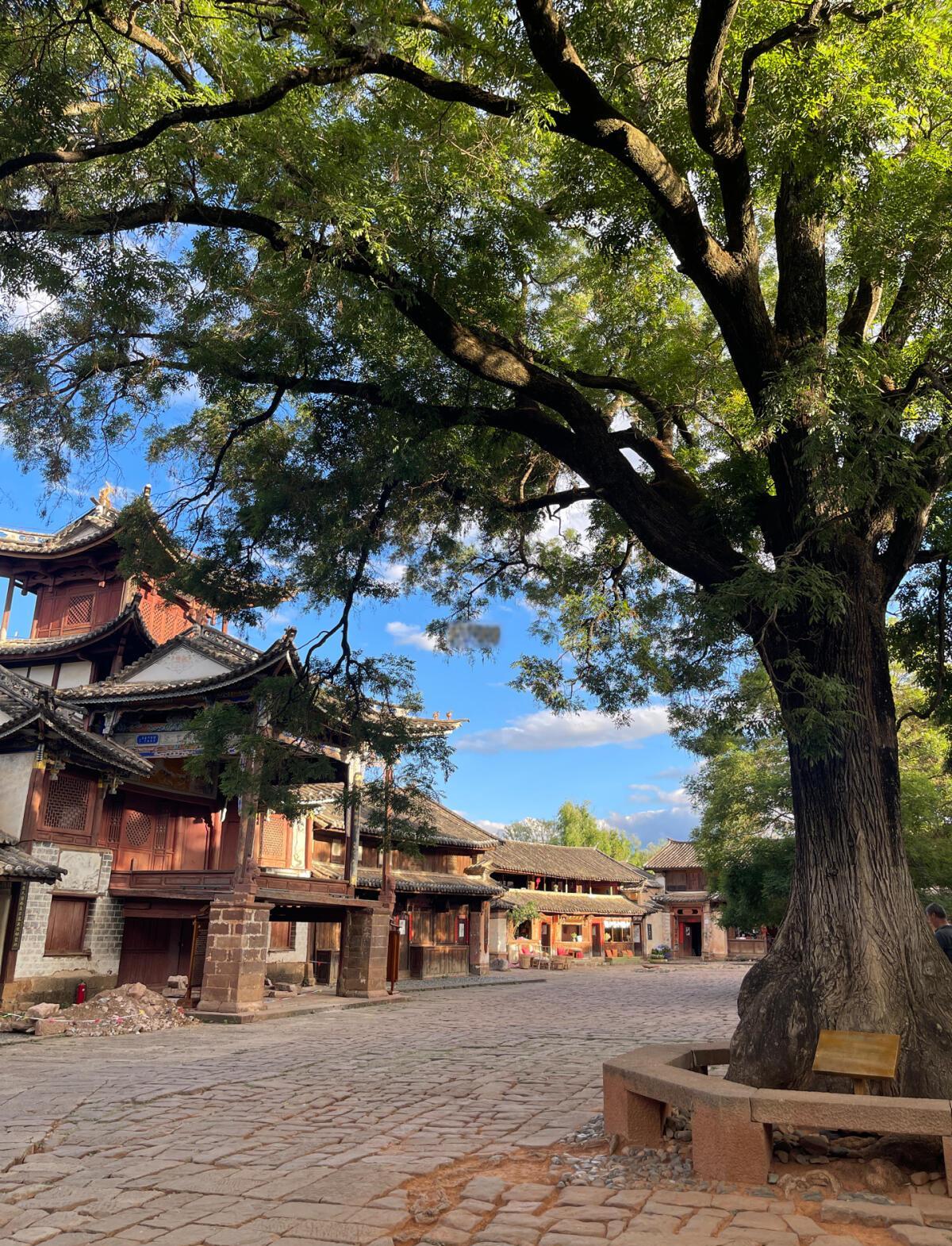 Day 5 | Shaxi to Lijiang – Ancient Tea Roads and Indigo Hands