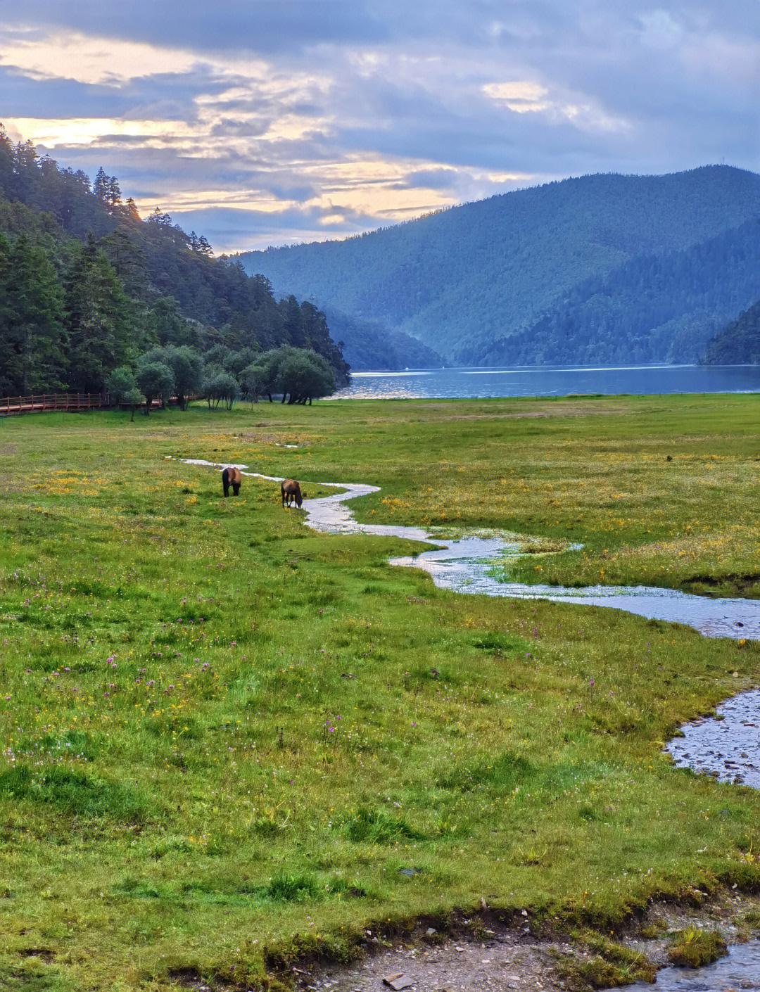 Day 8 | Pudacuo – A Himalayan Eden
