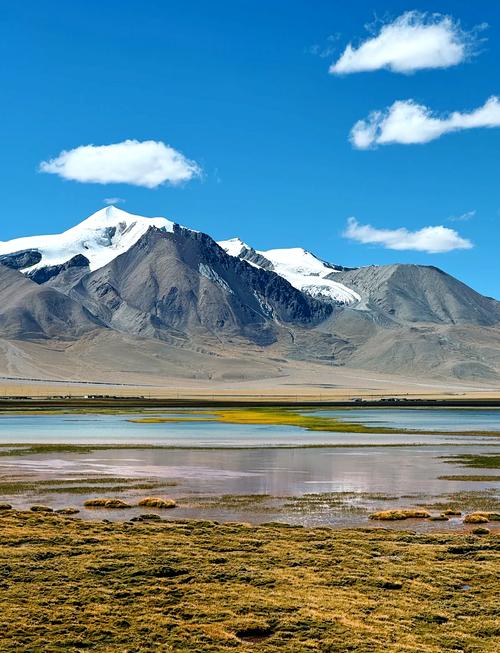 Shigatse: The Gilded Throne and Vast Prairies