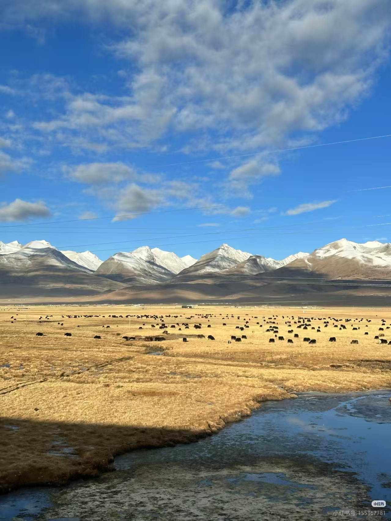Points vs. Lines: The Engineering Logic of Entering Tibet (Train vs. Plane)