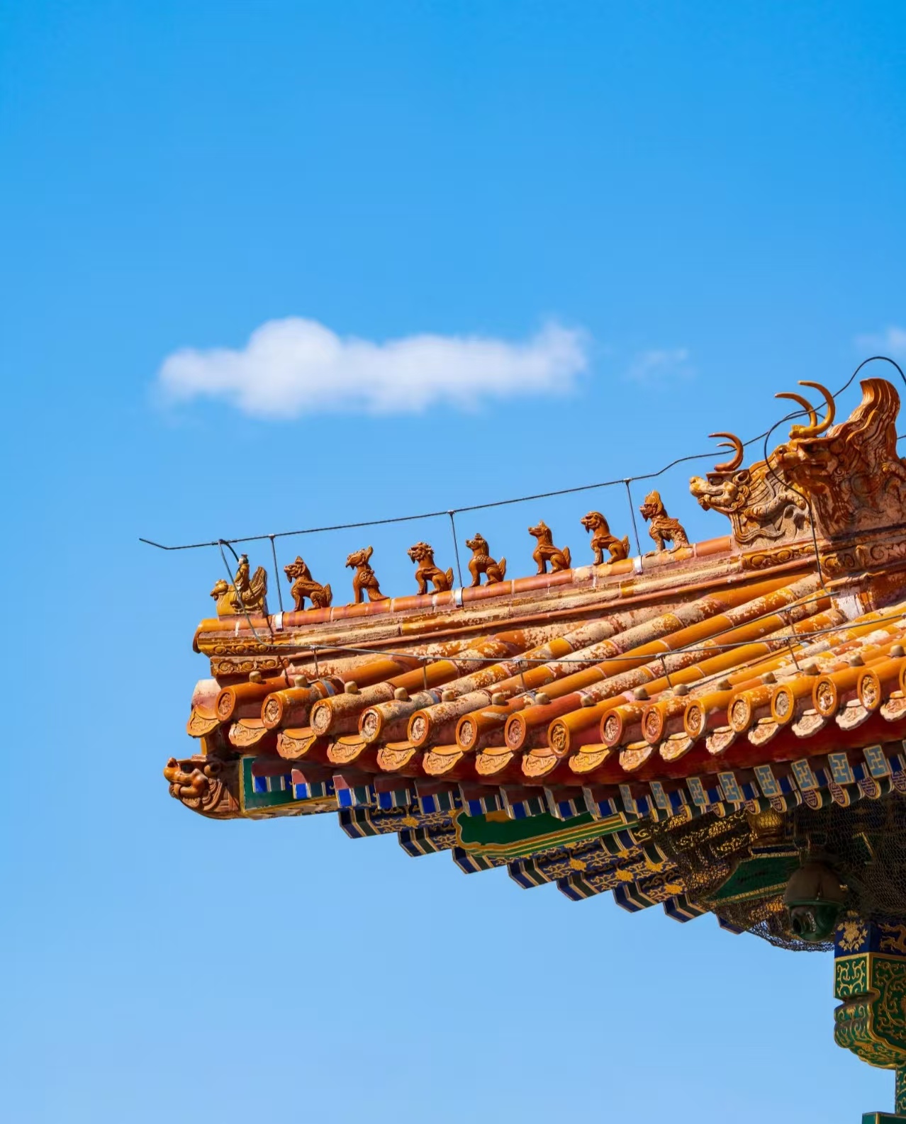 The Geometry of Absolute Power: A Strategic Guide to The Forbidden City - the-roof-beasts