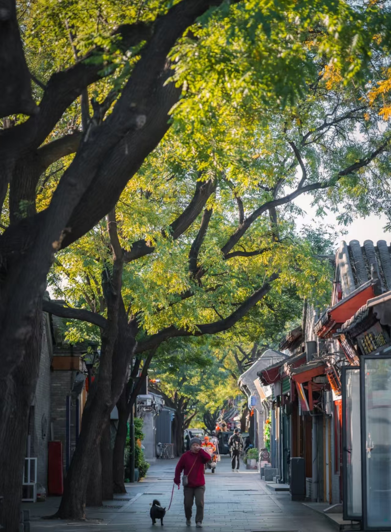 Beijing Local Life and Ming Qing Dynasty Beijing street culture — authentic hutong morning with Korascale.