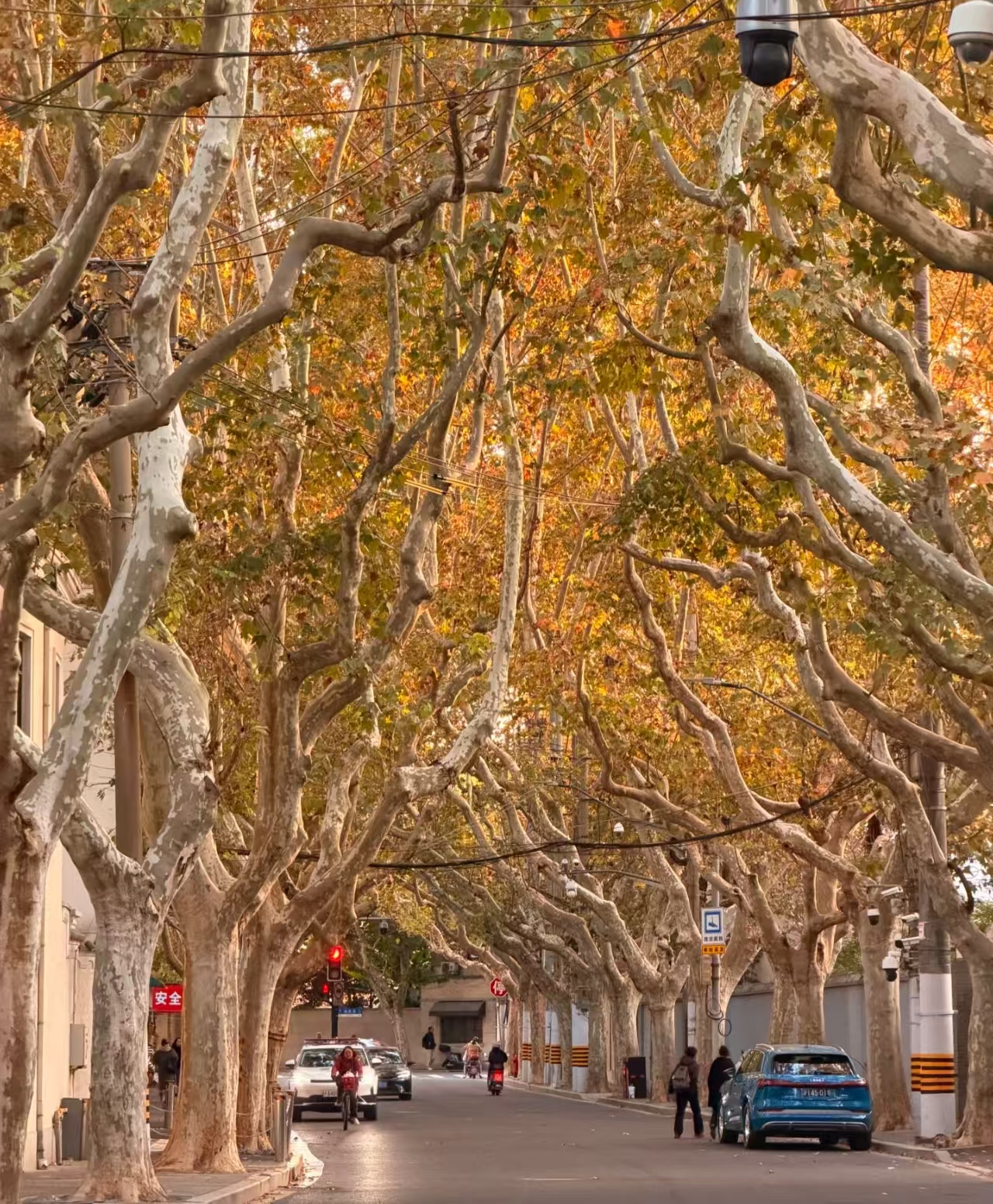 French Concession Shanghai Art Deco and Wukang Road Shanghai — Shanghai Treaty Port History private tour by Korascale.